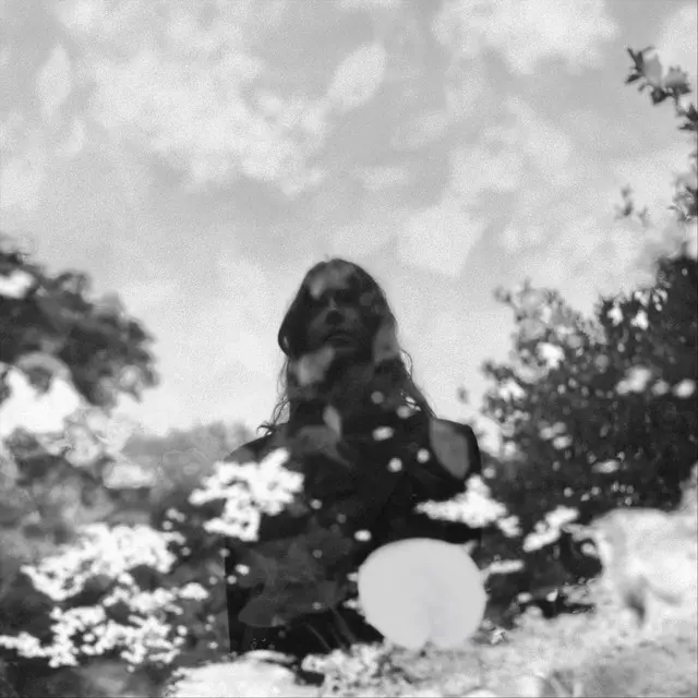 Filipe Furtado - Ada